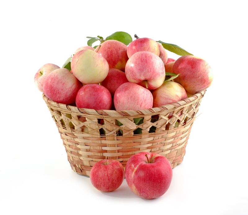 Fresh Produce